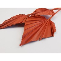 PHOCEALYS │palm spear│vente aux pros│Grossiste en fleurs séchées