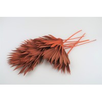 PHOCEALYS │palm sun│vente aux pros│Grossiste en fleurs séchées