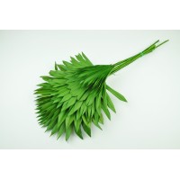 PHOCEALYS │palm sun│vente aux pros│Grossiste en fleurs séchées