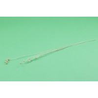 PHOCEALYS │Lin sec│vente aux pros│Grossiste en fleurs séchées