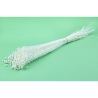 PHOCEALYS │Amarelino sec│vente aux pros│Grossiste en fleurs séchées