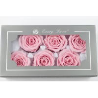 PHOCEALYS │Têtes de roses stabilisées  │vente aux pros│Grossiste