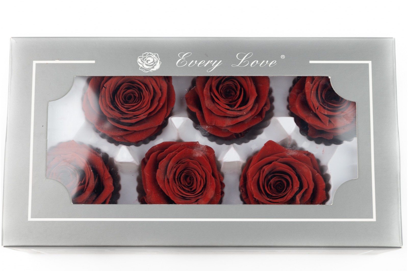 PHOCEALYS │Têtes de roses stabilisées  │vente aux pros│Grossiste