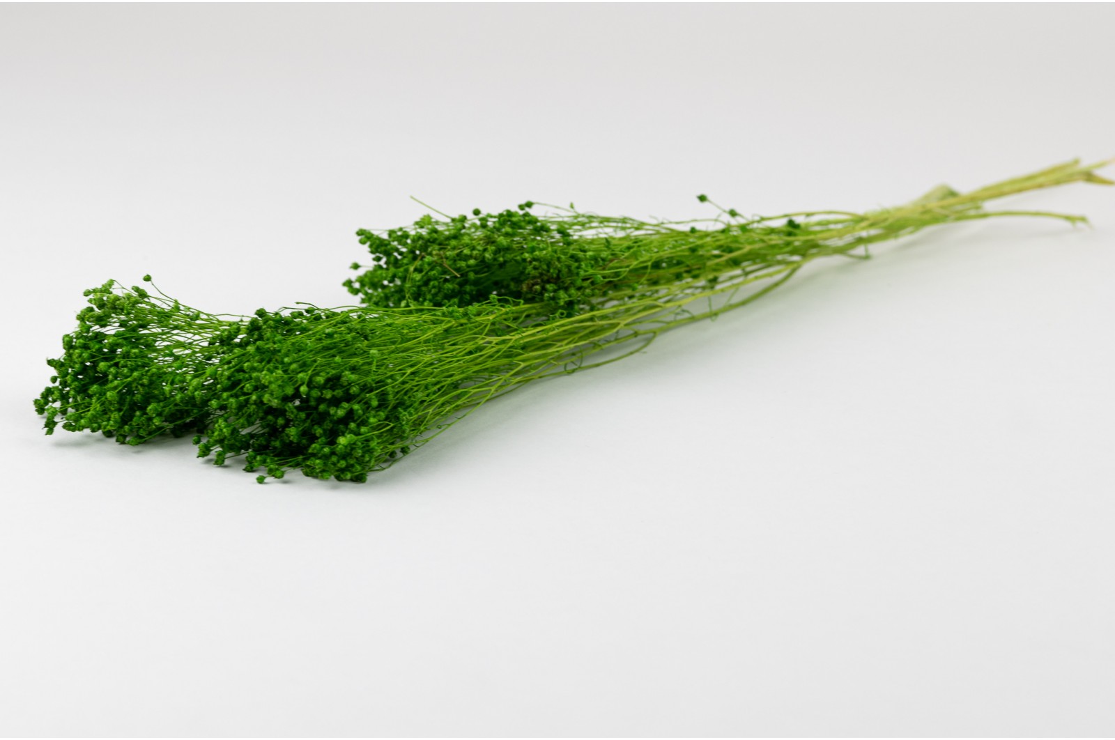 PHOCEALYS │Broom stabilisé│vente aux pros│Grossiste