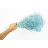 PHOCEALYS │Gypsophile stabilisé│vente aux pros│Grossiste
