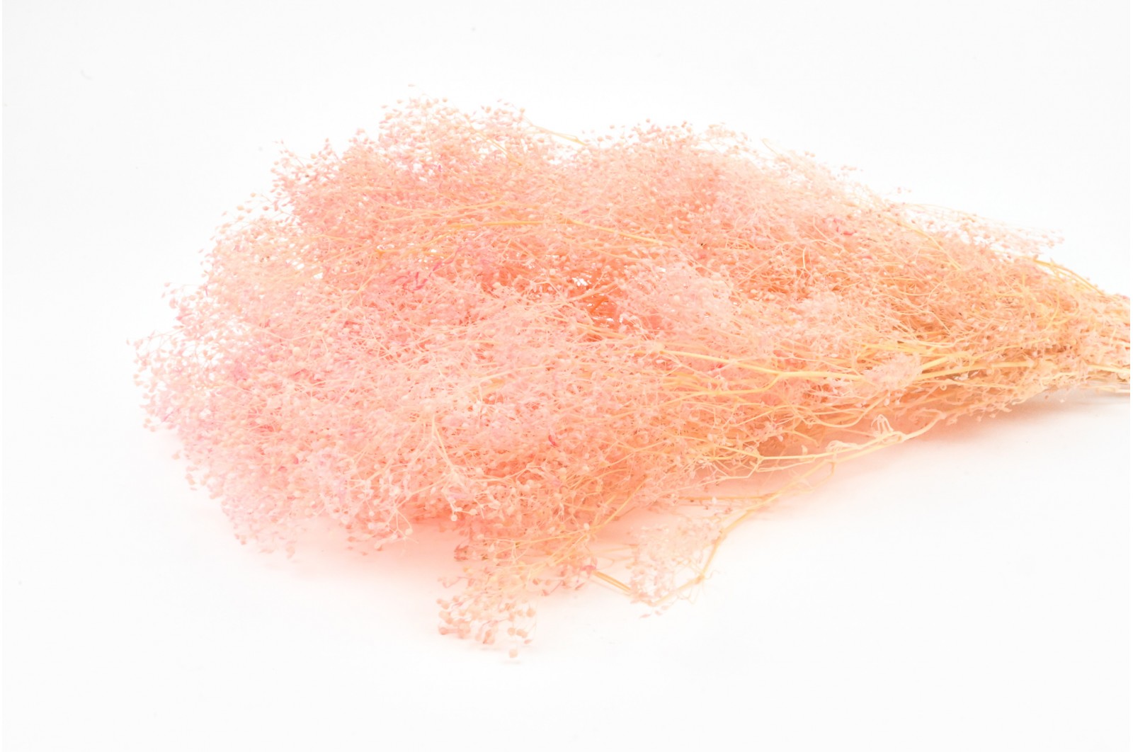 PHOCEALYS │Gypsophile stabilisé│vente aux pros│Grossiste