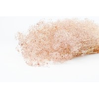 PHOCEALYS │Gypsophile stabilisé│vente aux pros│Grossiste