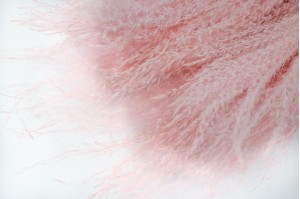 PHOCEALYS │XX│vente aux pros│Grossiste en fleurs séchées