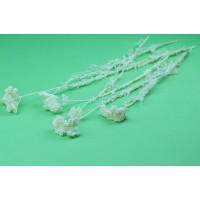 PHOCEALYS│Achillée filipendula stabilisée│vente aux pros│Grossiste