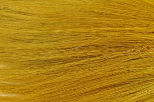 Barba stabilisée│vente aux pros│Grossiste en végétaux stabilisés