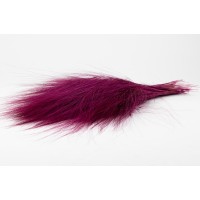 Barba stabilisée│vente aux pros│Grossiste en végétaux stabilisés