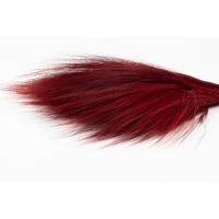 Barba stabilisée│vente aux pros│Grossiste en végétaux stabilisés