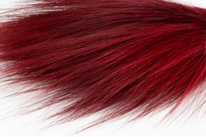 Barba stabilisée│vente aux pros│Grossiste en végétaux stabilisés