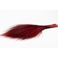 Barba stabilisée│vente aux pros│Grossiste en végétaux stabilisés