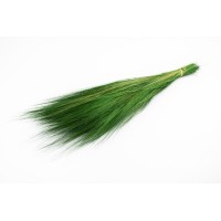 Barba stabilisée│vente aux pros│Grossiste en végétaux stabilisés