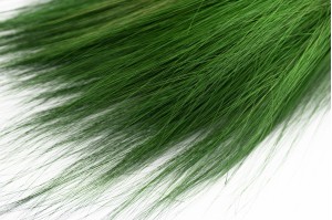 Barba stabilisée│vente aux pros│Grossiste en végétaux stabilisés