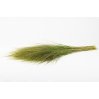 Barba stabilisée│vente aux pros│Grossiste en végétaux stabilisés
