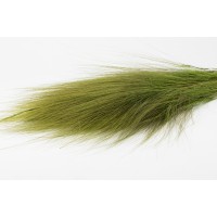Barba stabilisée│vente aux pros│Grossiste en végétaux stabilisés