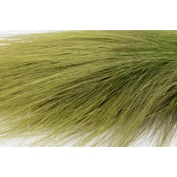 Barba stabilisée│vente aux pros│Grossiste en végétaux stabilisés