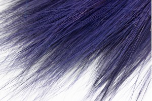 Barba stabilisée│vente aux pros│Grossiste en végétaux stabilisés