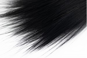 Barba stabilisée│vente aux pros│Grossiste en végétaux stabilisés