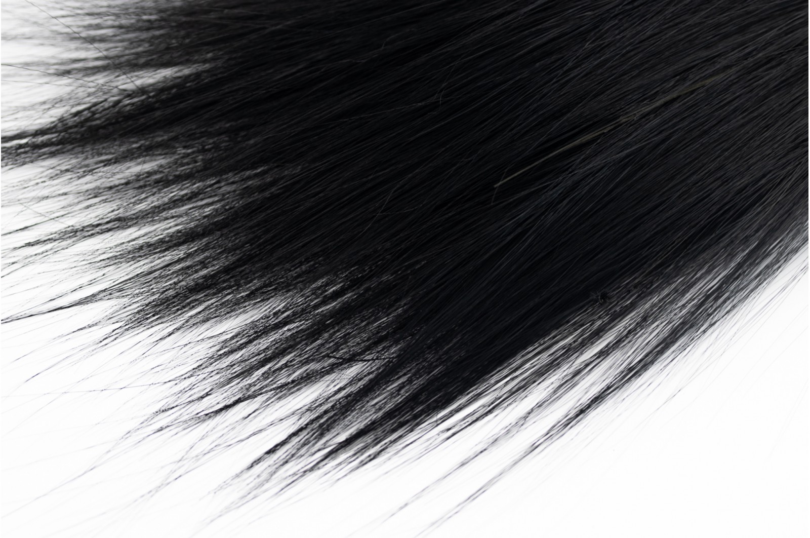 Barba stabilisée│vente aux pros│Grossiste en végétaux stabilisés