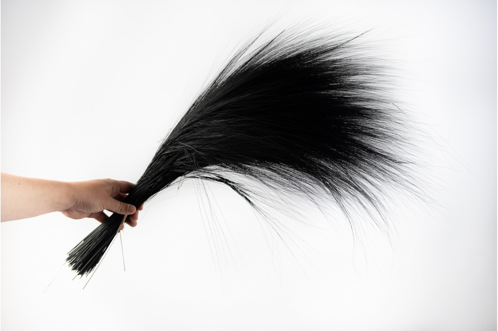 Barba stabilisée│vente aux pros│Grossiste en végétaux stabilisés