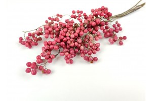 PHOCEALYS│Faux poivrier sec│vente aux pros│Grossiste en fleurs séchées