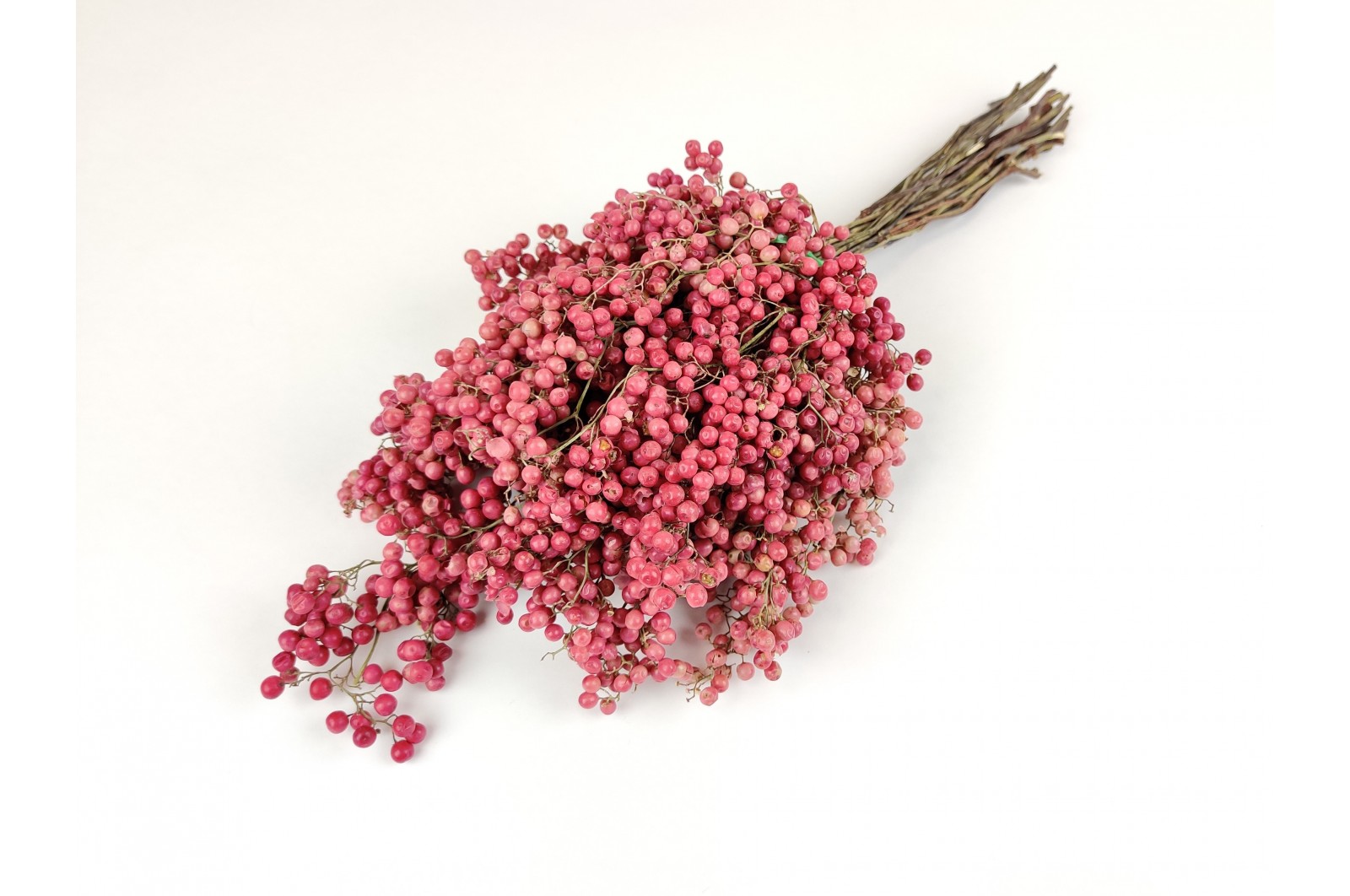 PHOCEALYS│Faux poivrier sec│vente aux pros│Grossiste en fleurs séchées