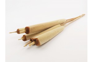 PHOCEALYS│Typha sec │vente aux pros│Grossiste en fleurs séchées