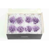 PHOCEALYS│œillets stabilisés│vente aux pros│Grossiste
