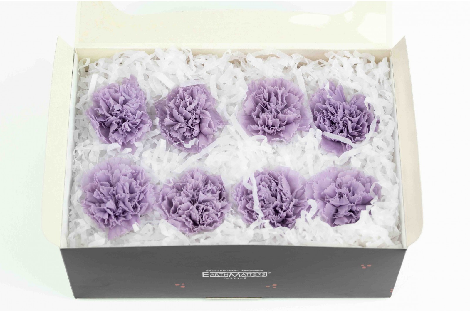 PHOCEALYS│œillets stabilisés│vente aux pros│Grossiste