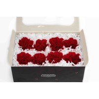 PHOCEALYS│œillets stabilisés│vente aux pros│Grossiste