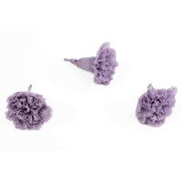 PHOCEALYS│œillets stabilisés│vente aux pros│Grossiste