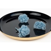 PHOCEALYS│œillets stabilisés│vente aux pros│Grossiste