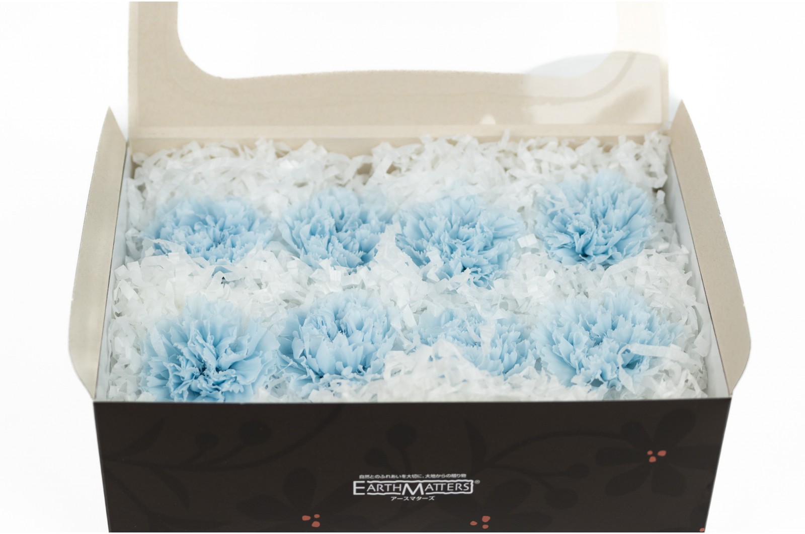 PHOCEALYS│œillets stabilisés│vente aux pros│Grossiste