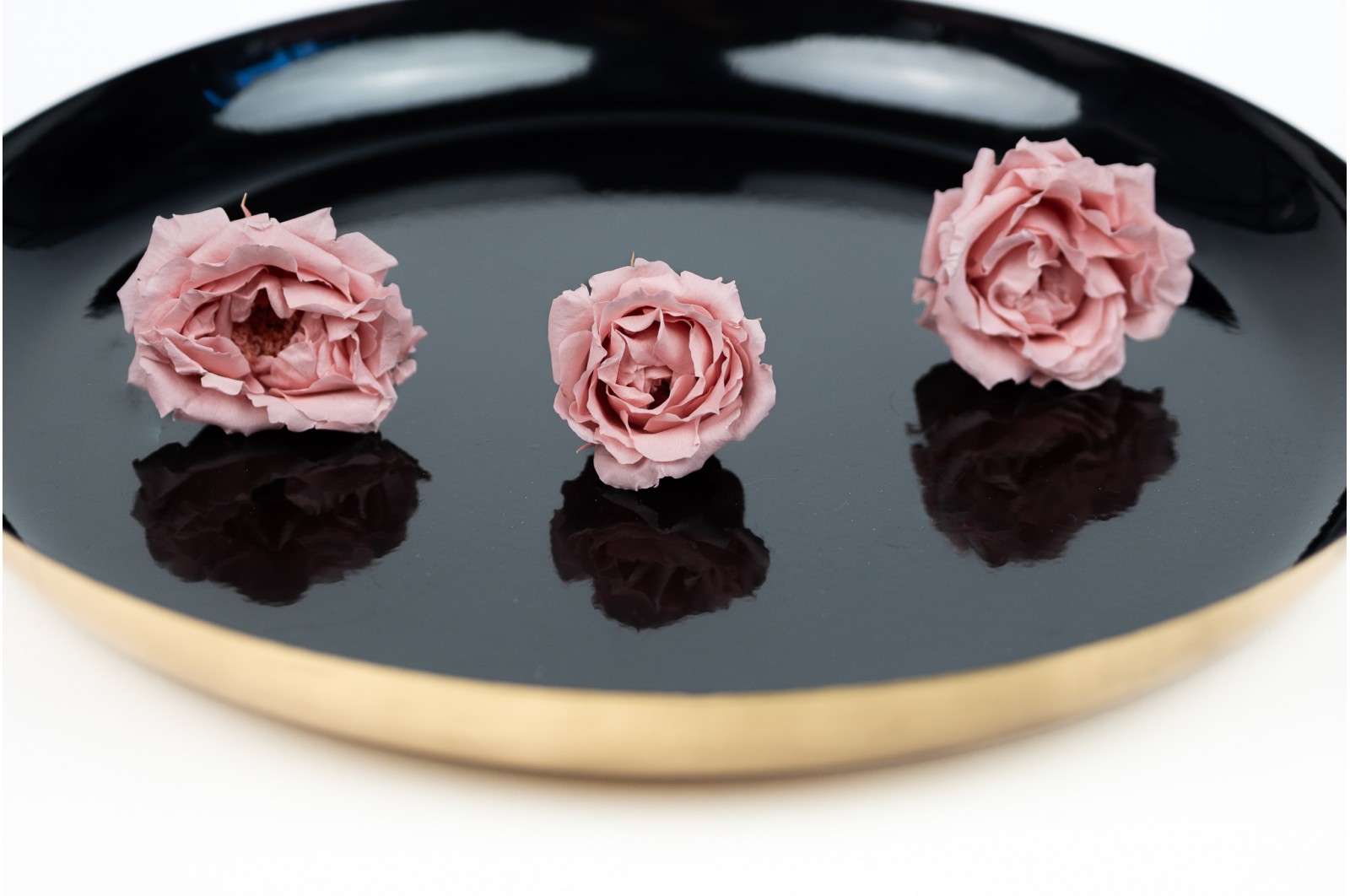 Rose majolica│vente aux pros│Grossiste en végétaux stabilisées