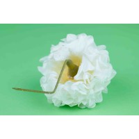 PHOCEALYS│Dahlia stabilisé│vente aux pros│Grossiste