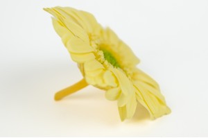 PHOCEALYS│gerbera stabilisé│vente aux pros│Grossiste