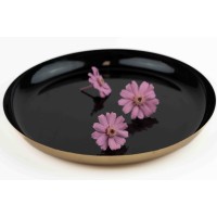 PHOCEALYS│zinnia stabilisé│vente aux pros│Grossiste