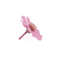 PHOCEALYS│zinnia stabilisé│vente aux pros│Grossiste