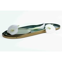 PHOCEALYS│calla stabilisé vente aux pros│Grossiste