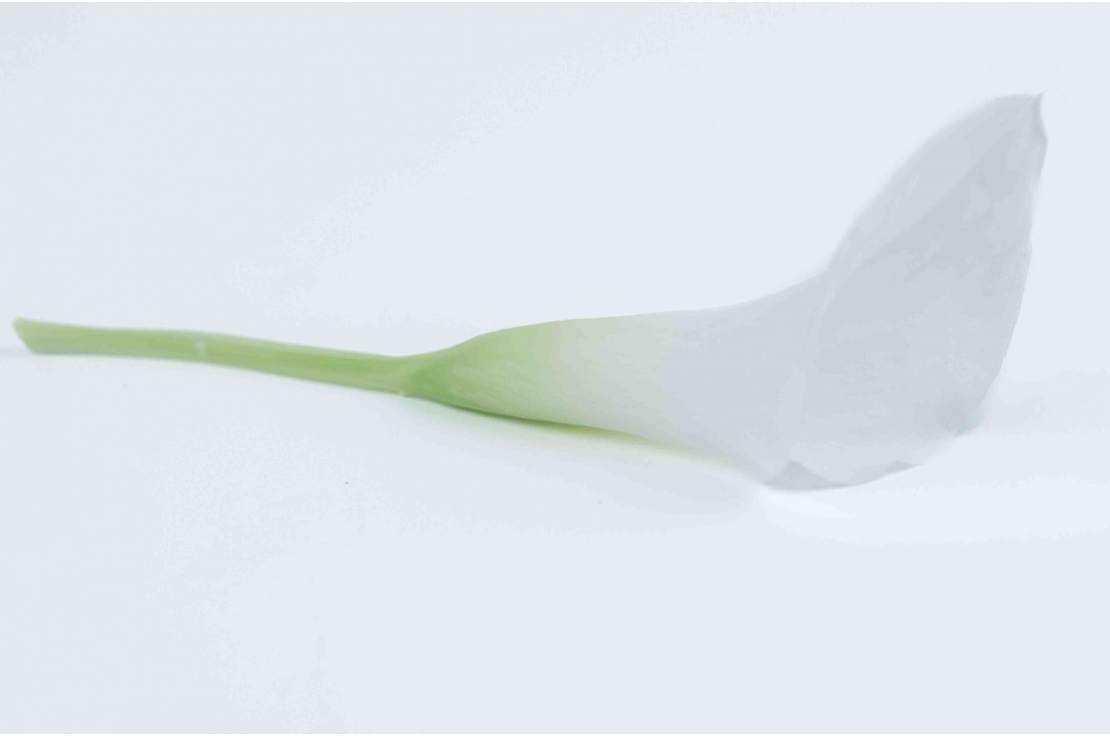 PHOCEALYS│calla stabilisé vente aux pros│Grossiste