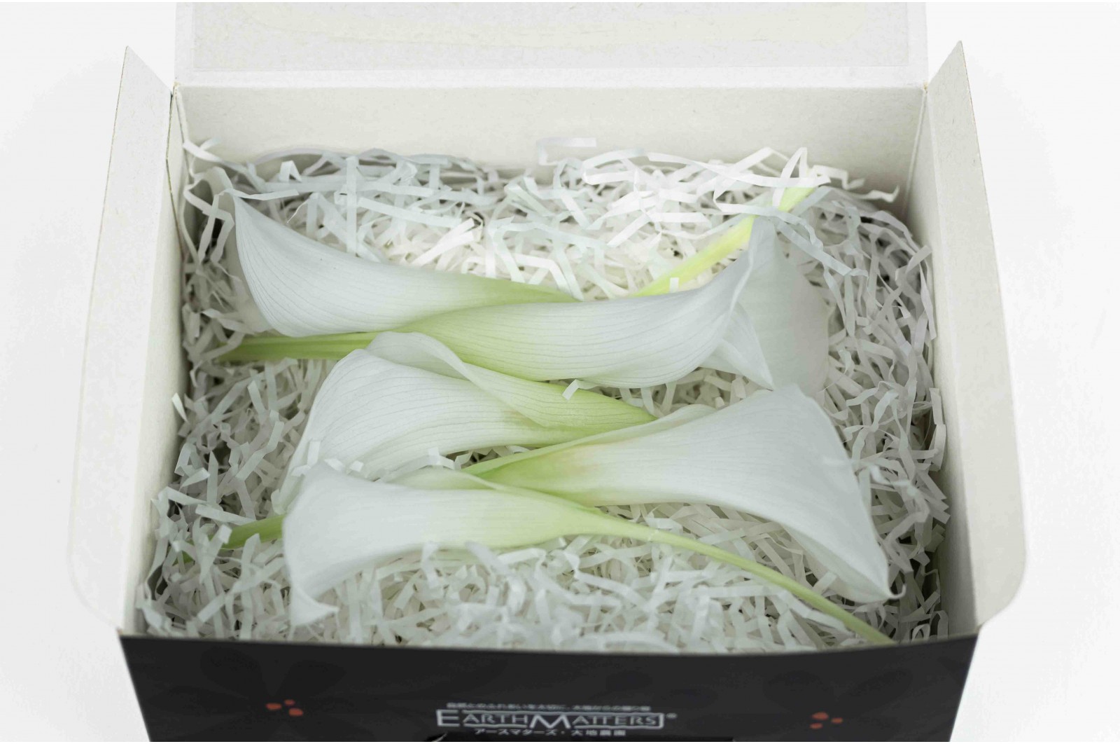 PHOCEALYS│calla stabilisé vente aux pros│Grossiste