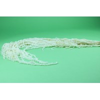 PHOCEALYS│Amarante stabilisée│vente aux pros│Grossiste