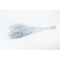 PHOCEALYS │Lin sec│vente aux pros│Grossiste en fleurs séchées