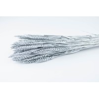 PHOCEALYS │Blé sec│vente aux pros│Grossiste en fleurs séchées