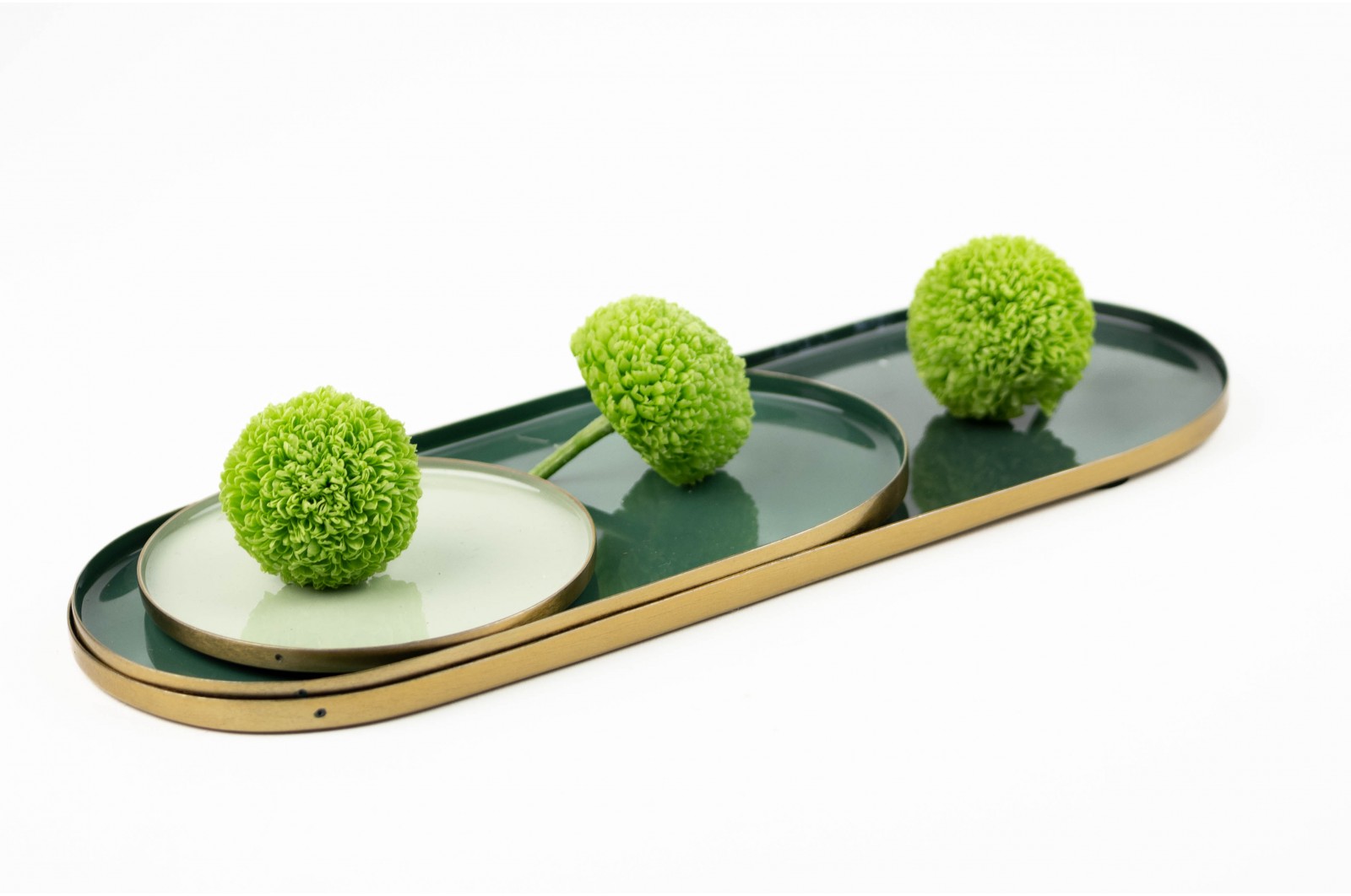 Chrysanthème stabilisé│vente aux pros│Grossiste