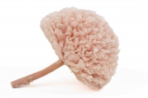 Chrysanthème stabilisé│vente aux prosGrossiste en végétaux stabilisées