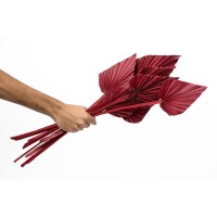 PHOCEALYS │palm spear│vente aux pros│Grossiste en fleurs séchées